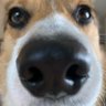 Profilbild von Jimmybuckets12345