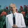 Sarkar Jii (پنجابی)'s profile picture