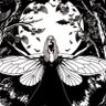 Profilbild von imperion galax