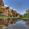 Profilbild von عصيد