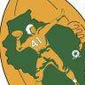 GREEN BAY PACKERS FC🪤⬜️'s profile picture