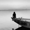 Thais silva's profile picture