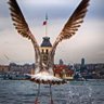 Adem Atakan 的头像