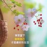 Фото профиля Spring