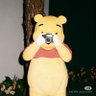 神人摄影/江浙沪互勉's profile picture