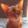 ps-qozou894 profil fotoğrafı