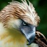 Profilbild von ناصر 🦅
