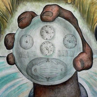 alcepulcro1's profile picture