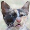 Profilbild von Louis M