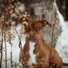 Profilbild von Joanie Martel-roy