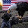 The_Piss-0f_Excellence🇺🇸 profil fotoğrafı