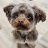 Profilbild von Zach