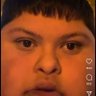 A Lion’s Will's profile picture