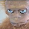 Lain Robles's profile picture