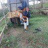 Shiru Mberia profil fotoğrafı