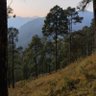 Amit Bhandari's profile picture