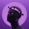 Amir's profile picture
