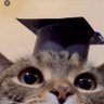 🔝's profile picture