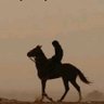 سيف الوايلي 的头像