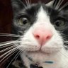 Ark profil fotoğrafı