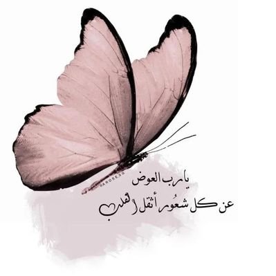 hkhkm20's profile picture