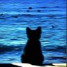 Фото профиля 猫爹