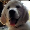 Profilbild von Madame B๐ฆ