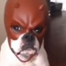 Devil dogs's profile picture