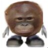 Фото профиля babymonkey