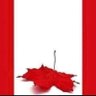 King Canuck 的头像