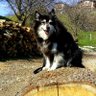 Profilbild von Elena
