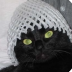Profilbild von きのこる