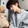 西北人's profile picture