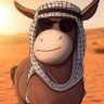 Фото профиля DONKEY_BSC