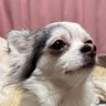 Profilbild von 癒鈴(YURi)