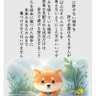 Profilbild von かのん=花音No.2