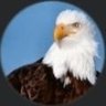 Profilbild von سأكتفي بنفسي