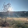 Bahoz profil fotoğrafı