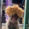 Фото профиля jokertelo