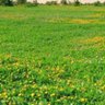 Фото профиля ابو عبدالله
