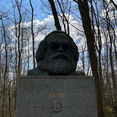 Alane's profile picture