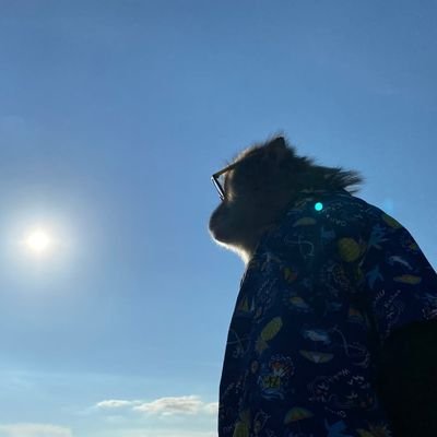 kepin's profile picture