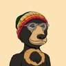 Murit Sensoy's profile picture