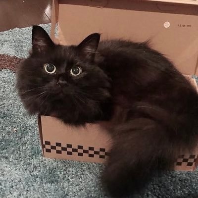 むなん's profile picture