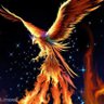 @ghoghnoos profil fotoğrafı