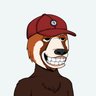 Utkucan Akar's profile picture