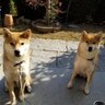 ミキティ's profile picture