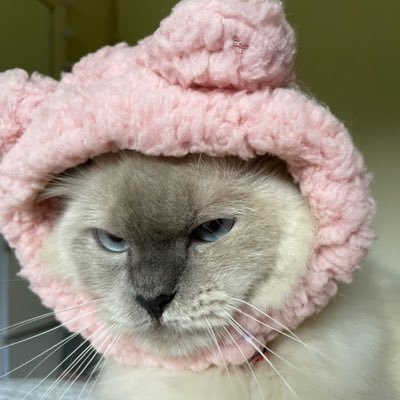 emma's profile picture