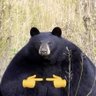 Profilbild von er