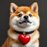 东观加密 profil fotoğrafı
